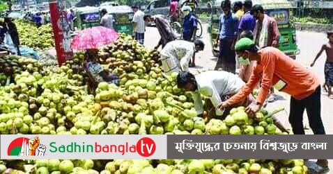 মোঃমিজানুর রহমান বাহার ভালুকা উপজেলা প্রতিনিধি: