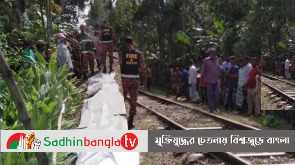 কানে না শোনার কারণে ট্রেনে কাটা পড়ে প্রাণ দিয়েছে শত বছরের বৃদ্ধা