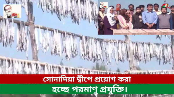 সোনাদিয়া দ্বীপে প্রয়োগ করা হচ্ছে পরমাণু প্রযুক্তি।