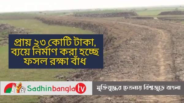 Sadhin Bangla TV News