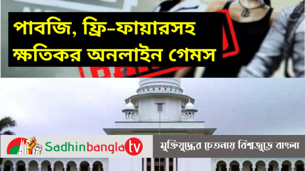 বাংলাদেশে নিষিদ্ধ থাকবে পাবজি গেম : হাইকোর্ট