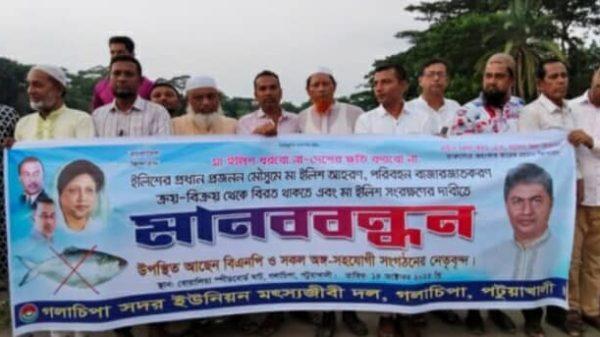 গলাচিপায় মা ইলিশ রক্ষার দাবিতে জাতীয়তাবাদী মৎস্যজীবীদলের মানববন্ধন