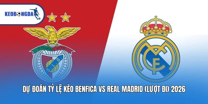 Dự Đoán Tỷ Lệ Kèo Benfica Vs Real Madrid (Lượt Đi) 2026